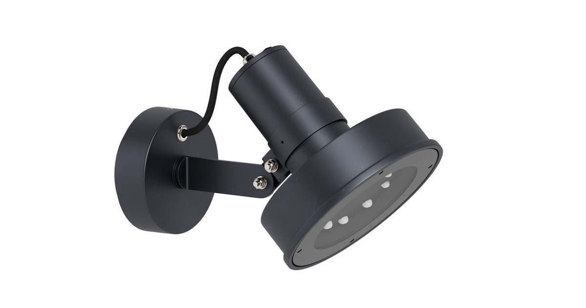 Arne S Wall Mount Light